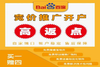 关键词竞价排名实战案例精选解析